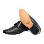 Belvoir Classic Oxford // Black (UK: 11)