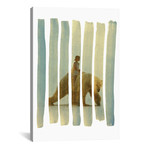 Ride (26"W x 18"H x 0.75"D)