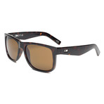 Paradisco // Tortoise + Brown Polarized