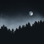 Under Moonlight (18"W x 18"H x 0.75"D)
