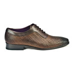 Corey Oxford // Brown (US: 7)