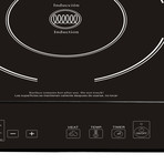 Double Induction Stove