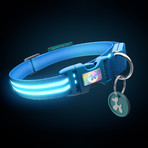 Electric Blue // LED Dog Collar (XS)
