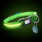 Green Gremlin // LED Dog Collar (XS)