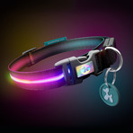 Double Rainbow // LED Dog Collar (XS)