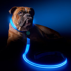 Electric Blue // LED Dog Lead