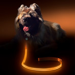 Sunset Orange // LED Dog Lead