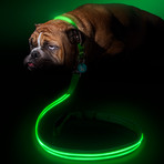 Green Gremlin // LED Dog Lead