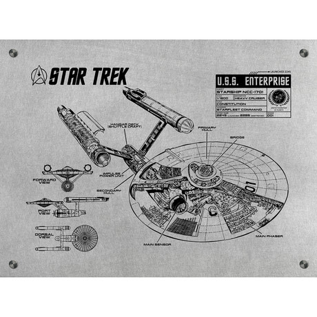 Chalkboard Inked and Screened Sci-Fi and Fantasy Star Trek U.S.S Enterprise Infographic Print White Ink