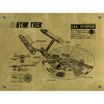 Star Trek U.S.S Enterprise Infographic (Aluminum // Black Ink)