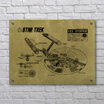 Star Trek U.S.S Enterprise Infographic (Aluminum // Black Ink)