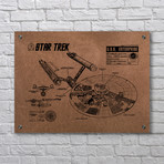 Star Trek U.S.S Enterprise Infographic (Aluminum // Black Ink)