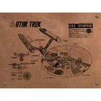 Star Trek U.S.S Enterprise Infographic (Aluminum // Black Ink)