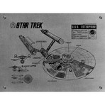 Star Trek U.S.S Enterprise Infographic (Aluminum // Black Ink)