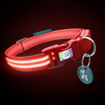 Lava Red // LED Dog Collar (XS)