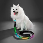 Double Rainbow // LED Dog Lead
