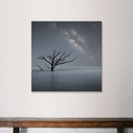 Milky Way As Seen From Botany Bay (18"W x 18"H x 0.75"D)