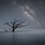 Milky Way As Seen From Botany Bay (18"W x 18"H x 0.75"D)