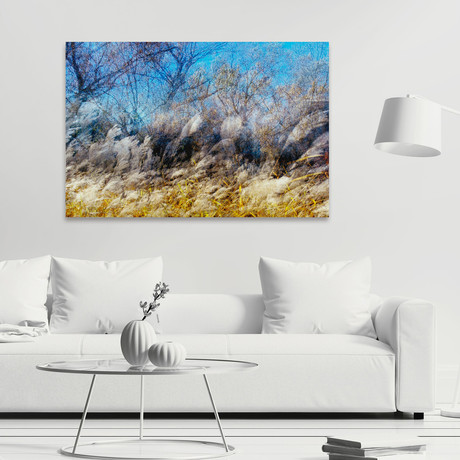 Fluffy Plants Painting Print on Wrapped Canvas (12"H x 18"W  x 1.5"D)