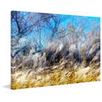 Fluffy Plants Painting Print on Wrapped Canvas (12"H x 18"W  x 1.5"D)