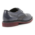 Tod's Shoes // Classic Derby // Blue + Black (Euro: 40)