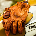 Scoundrel Glove // Brown (S)