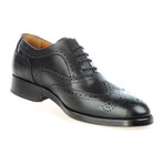 Wingtip Brogue // Black (Euro: 40)