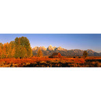 Sunrise Grand Teton National Park WY, USA // Panoramic Images (36"W x 12"H x 0.75"D)