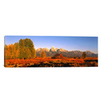 Sunrise Grand Teton National Park WY, USA // Panoramic Images (36"W x 12"H x 0.75"D)