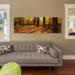 Tree Lined Road, Massachusetts, USA // Panoramic Images (36"W x 12"H x 0.75"D)