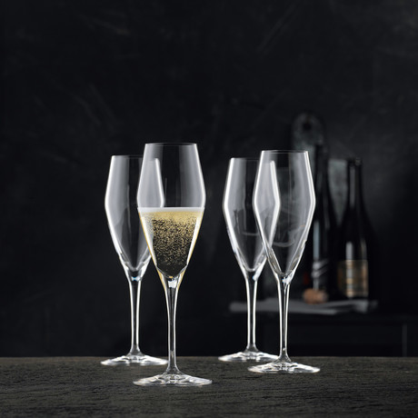 Vinova // Champagne Glasses // Set of 12
