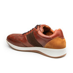 Casual Lace-Up Shoe // Java Brown (US: 7)