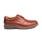 Lace-Up Brogue // Brandy (US: 11)