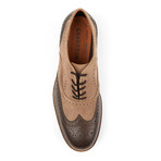 Capo Light Wing-Tip Brogue Oxfords // Camel + Brown (US: 10)