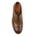 Capo Light Wing-Tip Brogue Oxfords // Olive Brown (US: 11)