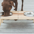 Bottoms Up Pet Dish