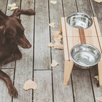 Bottoms Up Pet Dish