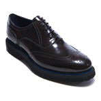 Platform Oxford // Dark Brown (Euro: 41)