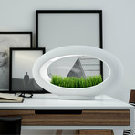 Grasslamp Desktop