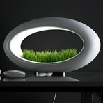 Grasslamp Desktop