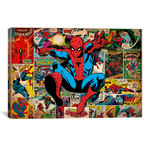 Marvel Comics // Spider-Man // Covers + Panels (26"W x 18"H x 0.75"D)