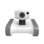 Riley Smart Companion