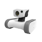 Riley Smart Companion