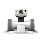 Riley Smart Companion