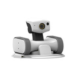 Riley Smart Companion