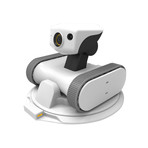 Riley Smart Companion