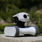 Riley Smart Companion