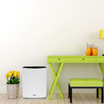 FresHome Stage Air Cleaner (B451-3 - Large)