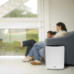 FresHome Stage Air Cleaner (B451-3 - Large)
