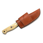 Long Clip Point Foil Blade (Buffalo Horn Handle)